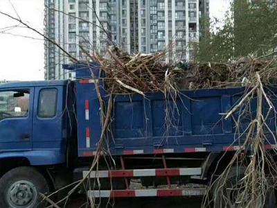 生活垃圾亂丢棄會帶來哪些危害？