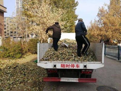 樹枝樹葉清運